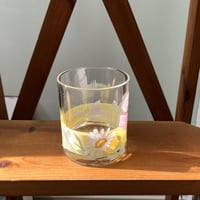 قلاص فنتج | صناعة فرنسية من لومينارك