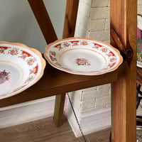 صحون صيني فنتج بتوريد أنيق | ماركة نور