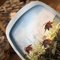 صينية صغيرة حديد صناعة يابانية فنتج