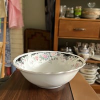 بادية موردة فنتج