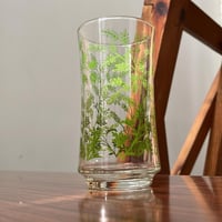 قلاص فنتج | صناعة أمريكية ماركة Libbey