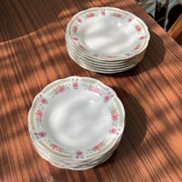 صحون سيراميك فنتج | بتوريد أنيق