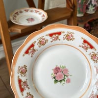 صحون صيني فنتج بتوريد أنيق | ماركة نور