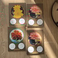 دفتر فنتج " طبيعة " 60 ورقة