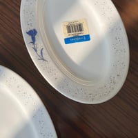 صحن فنتج صناعة إسبانية من هرمونيا