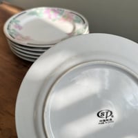 نص درزن صحون صين فنتج