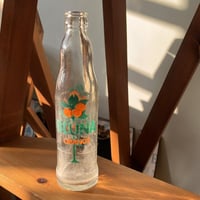 غرشة " بلونا برتقال " فنتج