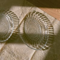 صحون زجاجية مزخرفة فنتج