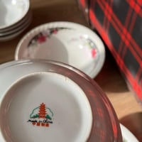 بوادي بورسلان فنتج