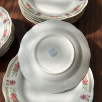 صحون سيراميك فنتج | بتوريد أنيق