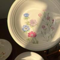 مجموعة من 5 صحون بورسلين فنتج | ماركة "تاتشيكيتشي"...