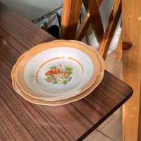 صحون فنتج | نمط سلة الفواكه الشهيرة بوقتها