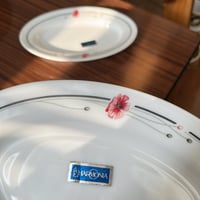 صحن فنتج صناعة إسبانية ماركة هرمونيا