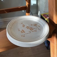 صحون صناعة أمريكية فنتج ماركة كورنينغ