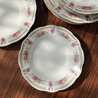 صحون سيراميك فنتج | بتوريد أنيق