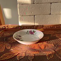 Dish صحون استكانات " فنتج