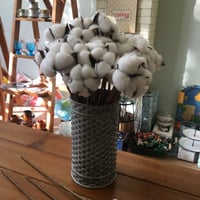 وعاء معدن مجلفن