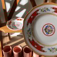 نص درزن صحون فنتج