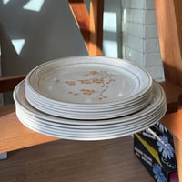 صحون صناعة أمريكية فنتج ماركة كورنينغ