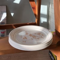 صحون صناعة أمريكية فنتج ماركة كورنينغ