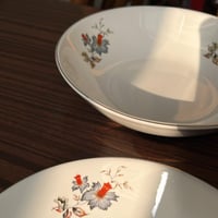 صحون خزف صيني فنتج