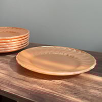 صحون فنتج صناعة أمريكية ماركة انكور هوكنج