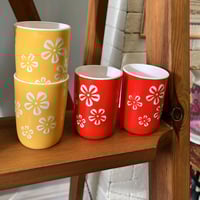 نص درزن | كاسات بلاستيك فنتج