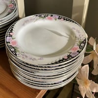 صحون فنتج | سيراميك