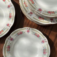 صحون سيراميك فنتج | بتوريد أنيق