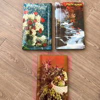 ألبوم صور فنتج صناعة يابانية