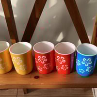 نص درزن | كاسات بلاستيك فنتج