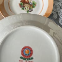 صحون فنتج | نمط سلة الفواكه الشهيرة بوقتها