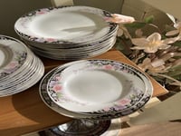 صحون فنتج | سيراميك