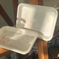 صحن بلاستيك فنتج من اصدارات اليابان المحدودة