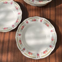 صحون سيراميك فنتج | بتوريد أنيق