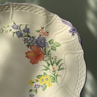 صحن فنتج ونادر Japan