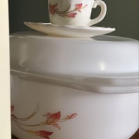 مطبقيه فنتج صناعة فرنسية ماركة اركوبال