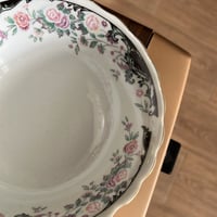 بادية موردة فنتج