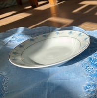 صحون فنتج بتوريد أزرق