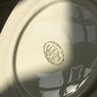 صحن ايطالي فنتج