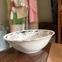 بادية موردة فنتج