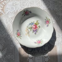 نص درزن صحون موردة فنتج | ماركة نور