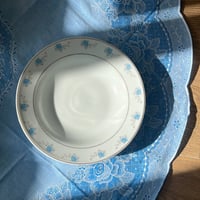 صحون فنتج بتوريد أزرق