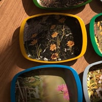 صينية صغيرة حديد صناعة يابانية فنتج