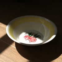 صناعة كورية فنتج