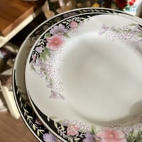 صحون فنتج | سيراميك