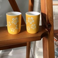 نص درزن | كاسات بلاستيك فنتج