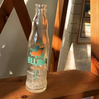 غرشة " بلونا برتقال " فنتج