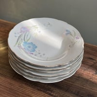 صحون صين فنتج | مجموعة من 6 قطع