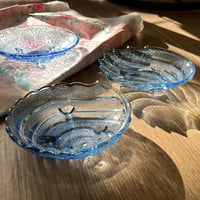 صحون زجاجيه فنتج